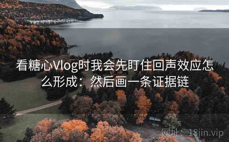 看糖心Vlog时我会先盯住回声效应怎么形成：然后画一条证据链